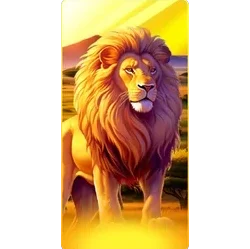 Lion
Safari